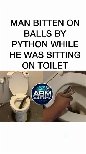 New Fear Unlocked! Python Bites Man In The Toilet 🐍🚽 #shorts #shortsfeed #snake