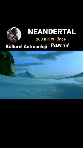 İnsan Evrimi & Neandertal - part 44 Human Evolution & Neanderthals Around 200,000 Years Ago Around 200,000 years ago, Neanderthals (Homo neanderthalensis) were living mainly in Europe and parts of Western Asia. They were well adapted to cold climates, with strong bodies, short limbs, and large noses that helped warm cold air. Neanderthals were intelligent and culturally complex. They made sophisticated stone tools, used fire, hunted large animals, cared for injured group members, and likely had 