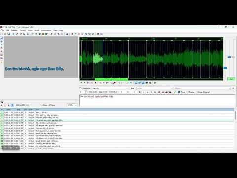 Hướng dẫn chỉnh Aegisub nhanh kết hợp với app tạo video karaoke tự động
