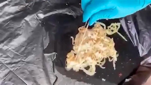 Are tapeworms living inside you?