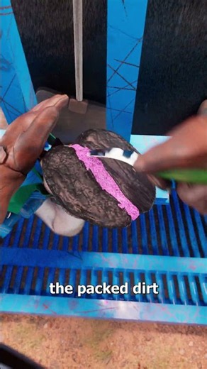 How They Fix A Cow's Injured Hoof 🤔