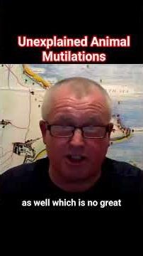 Unexplained animal mutilations (early interview) #paulsinclair #alien #unexplained #Unexplained