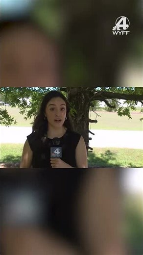 #Cicada invasion in South Carolina