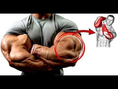 Get INSANELY BIG Arms FAST (Biceps, Triceps & Forearms EXPLODE!)