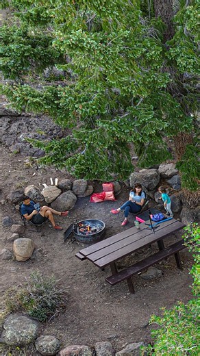 We Camped Inside the Largest Living Thing on Earth