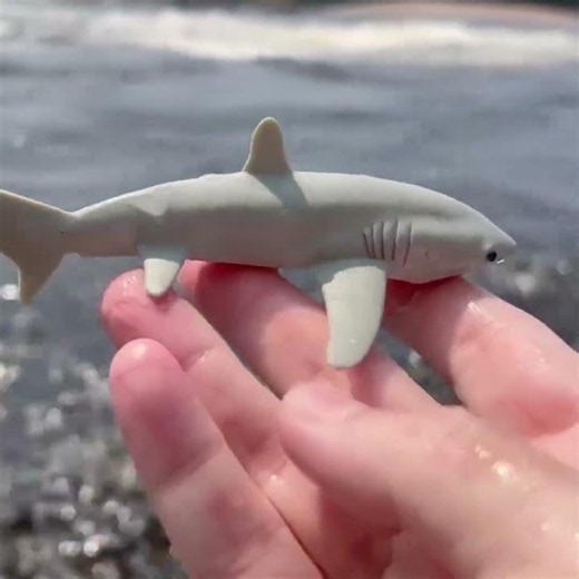 Thresher Shark Beach Adventure! 🦈🏝️ #MegansWorld #SeaLife