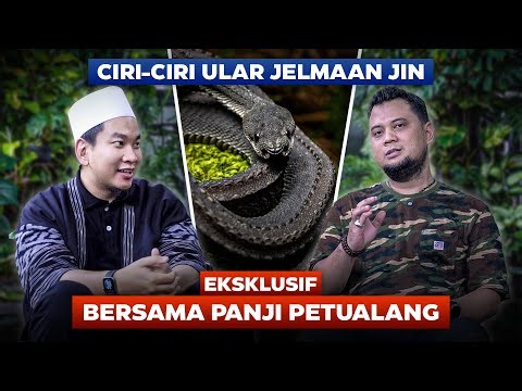 CIRI-CIRI ULAR JELMAAN JIN - EKSKLUSIF BERSAMA PANJI PETUALANG