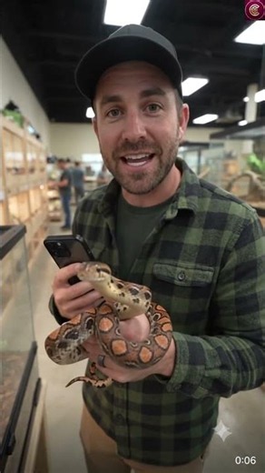 I Visited America's Biggest Snake Shop! 🐍 | Exotic Reptiles You Have to See #Shorts #reptilelife