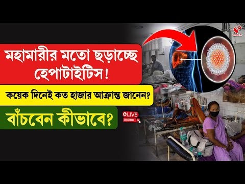 Hepatitis | মহামারীর মতো ছড়াচ্ছে হেপাটাইটিস! কয়েক দিনেই কত হাজার আক্রান্ত জানেন? বাঁচবেন কীভাবে?