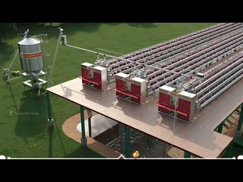 🐔Complete Poultry Farm Setup | Fish Breeding | A-Type Layer Battery Cages | Egg Production Equipment
