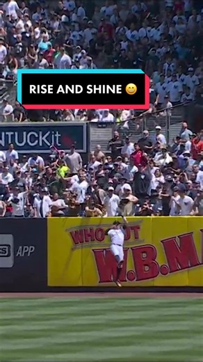 Yup, that’s the one 😌 #yankees #baseball #mlb #thatstheone #aaronjudge #amazing #fyp