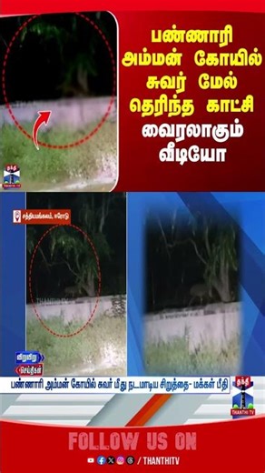 bannariammantemple || tiger || thanthitv