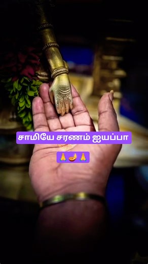 சாமியே சரணம் ஐயப்பா 🙏🪔🙏