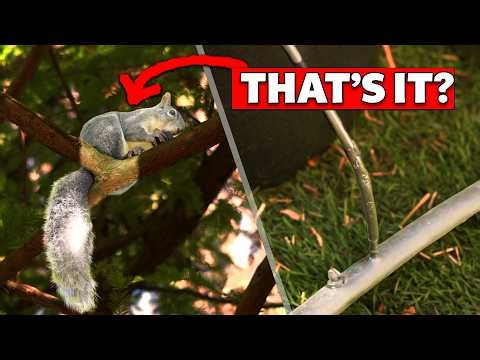 How to Prevent Pests from Chewing your Drip Irrigation Tubing