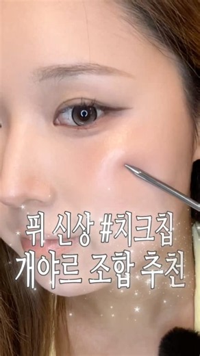 퓌 신상 블러셔 찐 후기