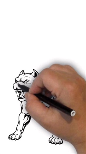How to Draw a Muscular Pit Bull Step by Step