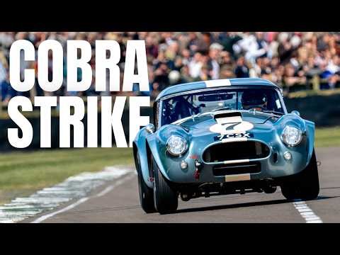 When the Cobra BITES | 1964 AC Cobra | 83rd Goodwood Members' Meeting