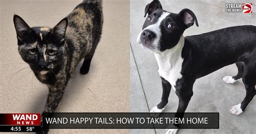 WAND's Happy Tails featuring Grog and Lorelei