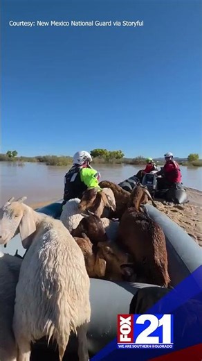 #NOGOATLEFTBEHIND