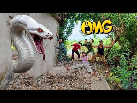 Brave Hunter Confronts Giant Ferocious White Python Nest to Rescue Attacked Ethnic Girl
