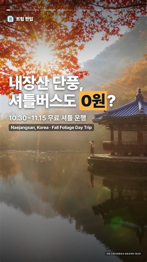 내장산 단풍, 셔틀버스도 0원? | Naejangsan, Korea day trip — free shuttle, Uhwajeong, temple #Shorts