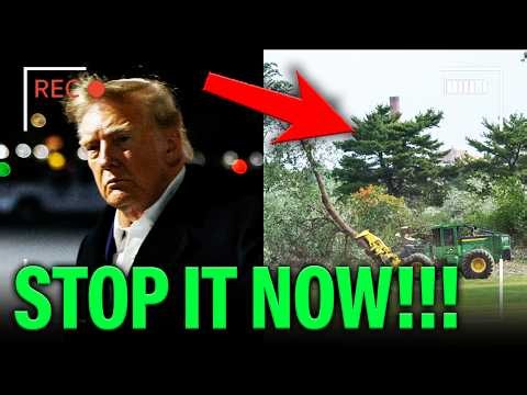 Trump SMACKED with EMERGENCY ORDERS from Federal Judges!!!