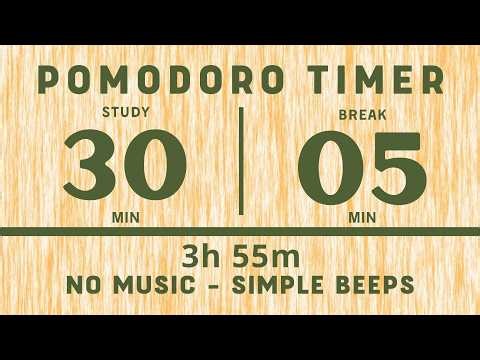 30/05 Countdown Timer ⏳ Flip Clock with Simple Beeps | Focus | Study | Productivity | 3Hour 55Minute