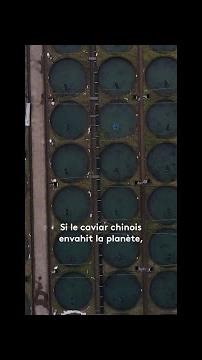 Caviar : la vague chinoise