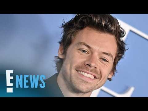 Harry Styles’ Brazil Concert Canceled Due to "Health Issue" | E! News