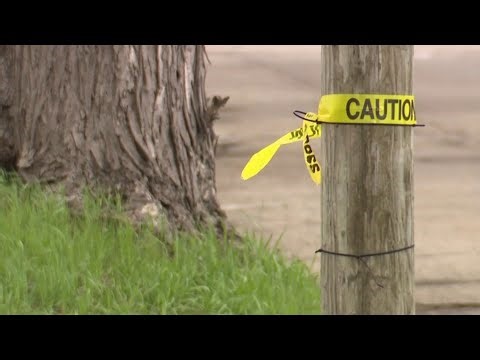 Local 4 News at Noon -- April 20, 2026