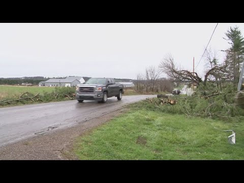 NWS confirms EF0 tornado in Wayne County during Tuesday's severe thunderstorms