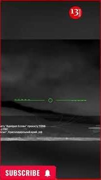 Ukraine's Sheskharis Strike: Partisans Blind Russian Air Defenses