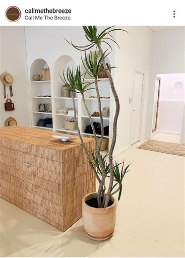 Modern Retail Store Design with Potted Plant | Spa retail store inspiration, Boho reception desk, Eco-friendly spa design inspiration