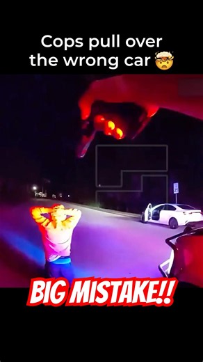 Cops Pull Over The WRONG Car 🤯