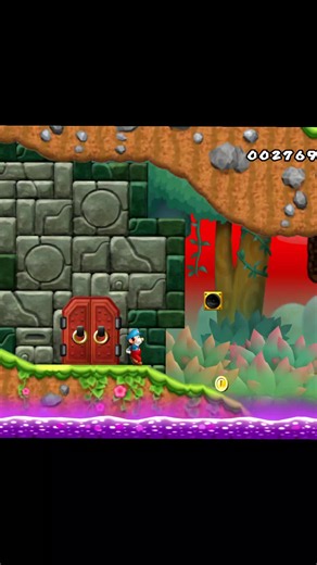 New Super Mario Bros Wii SuperStar