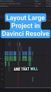 Layout a Large Davinci Resolve Timeline in Minutes