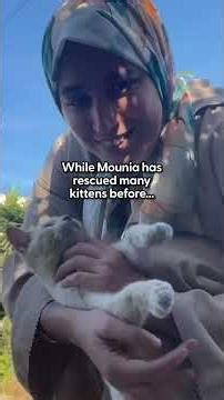 Tiny, Frozen Kitten Ends Up Having The Warmest Personality | The Dodo