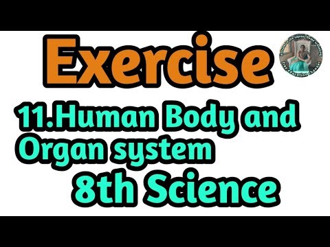 11.Human Body and Organ system Exercise 8th std Science 