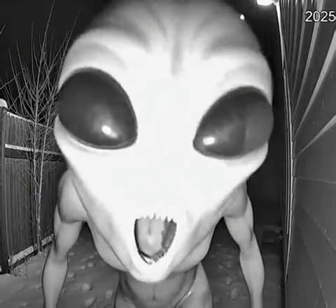 Alien Encounter in my backyard! #horrorjunkie #aliens #NIGHTMARE #scary #horrorfanatic | Night Door Films