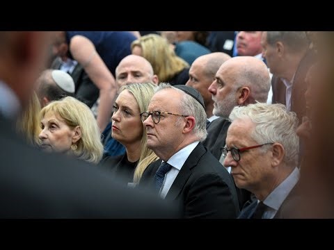 ‘Succession of failures’: Antisemitism occurred on Albanese’s ‘watch’