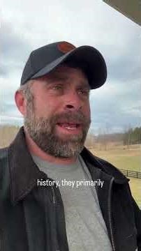 Let's clear some things up on immigration…