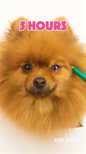 Realistic puppy drawing in just 5 hours 🐶 #kidsfun