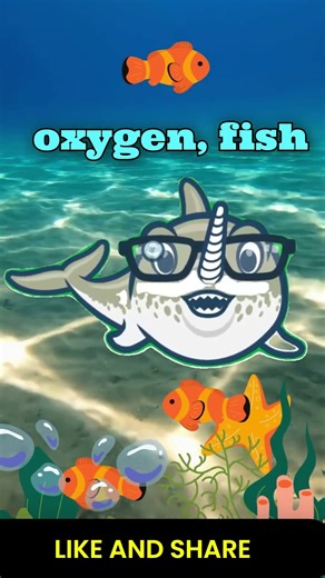 Can Fish Drown? 🦈🤯 (Science Explained)😮🔭