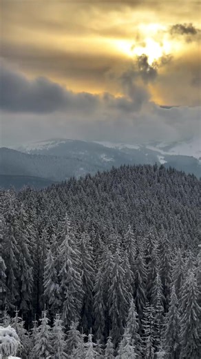 The snowy landscapes of the Carpathian Mountains 🏔️ Video: bogdan_susol / Instagram #ukraine #mountain #landscape #nature #snow