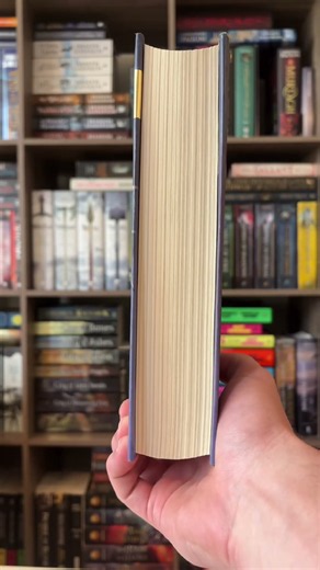 Anyone else have that one comfort re-read?