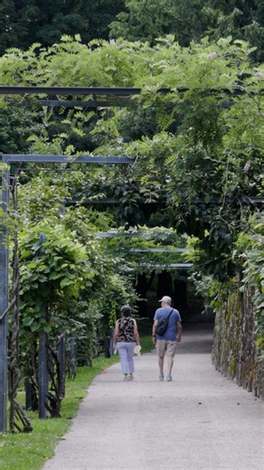 The Arnold Arboretum of Harvard University