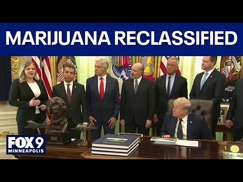 Medical marijuana reclassified by Trump admin to increase research