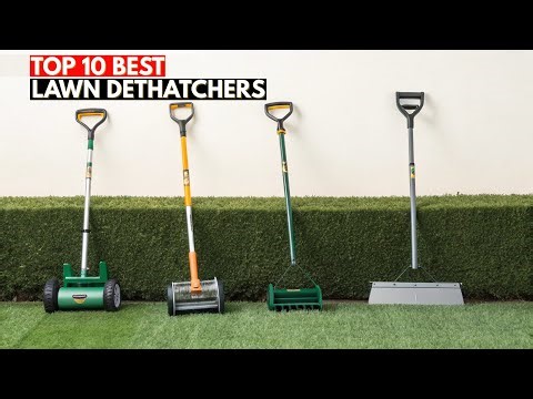Top 10 Lawn Dethatchers You Must Have for a Perfect Lawn 2026