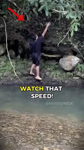 Nature's Surprise Snack Attack