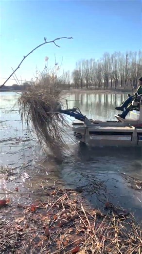 Efficient Waterbody and Shoreline Cleaning with an Amphibious Machine
